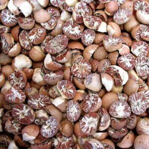 Betel Nut