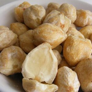 Candle Nut