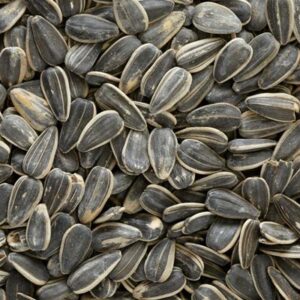 Sunflower seeds