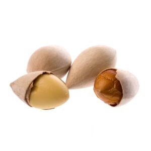 Ginkgo Nut