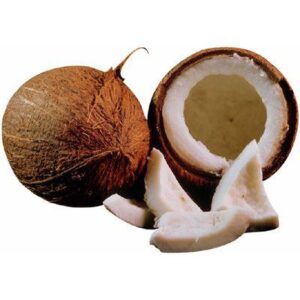 coconut