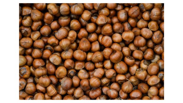 Hazelnut Kernels