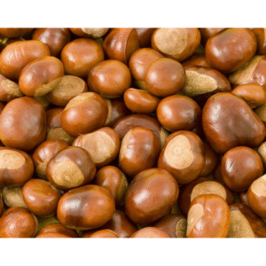chestnuts 