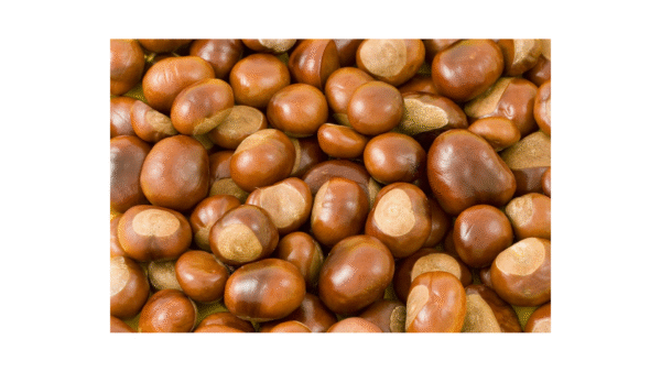 chestnuts 