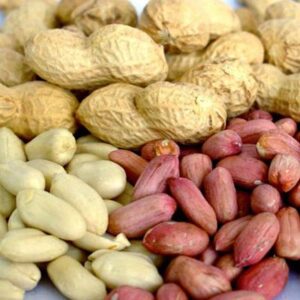 Peanuts kernel 