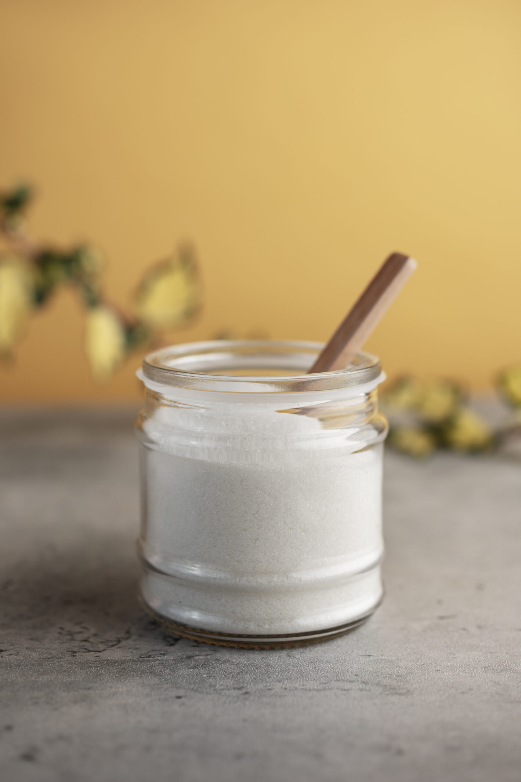 still-life-xilitol-sweetener
